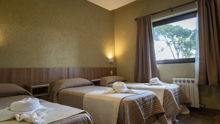 Habitación con ventana al parque